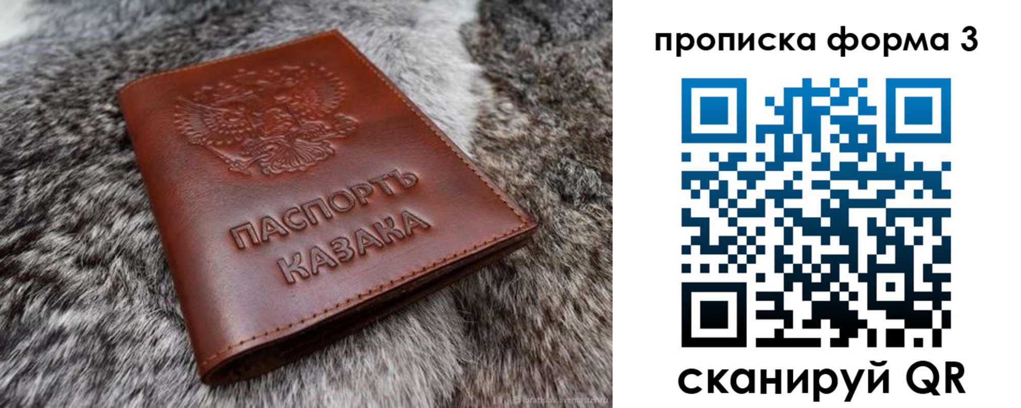 временная прописка в Чистополье